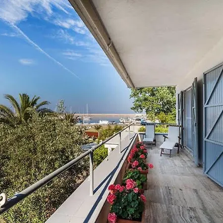 Hibiscus ラ・カレッタ